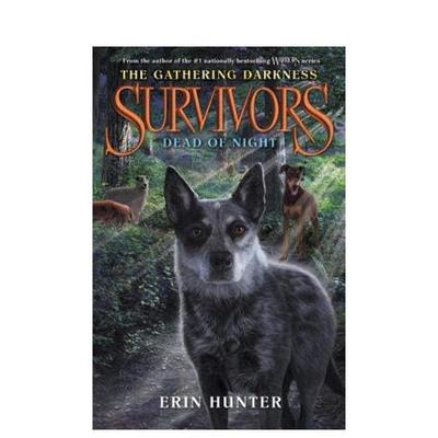 【现货】Survivors: The Gathering Darkness 2: Dead of Night，幸存者:夜深人静 原版图书 Hunter 儿童分