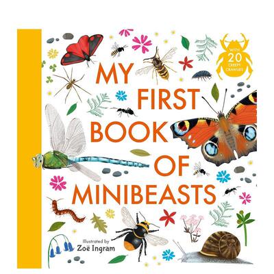 【现货】我的小生物启蒙书 My First Book of Minibeasts 英文进口原版儿童绘本图书Anonymous