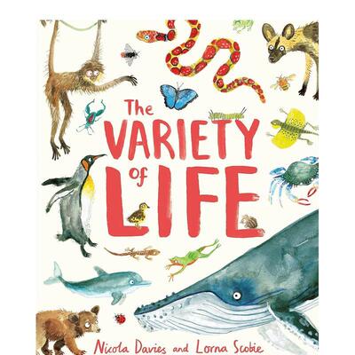 【现货】生存的多样性The Variety of Life 英文进口原版儿童绘本图书 3-6岁 Hodder Children books 动物生态环保