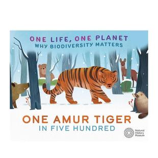 一只 Planet 预售 一个星球：五百只东北虎中 Hundred 儿童 Five One 一个生命 Tiger Amur Life 英文进口原版