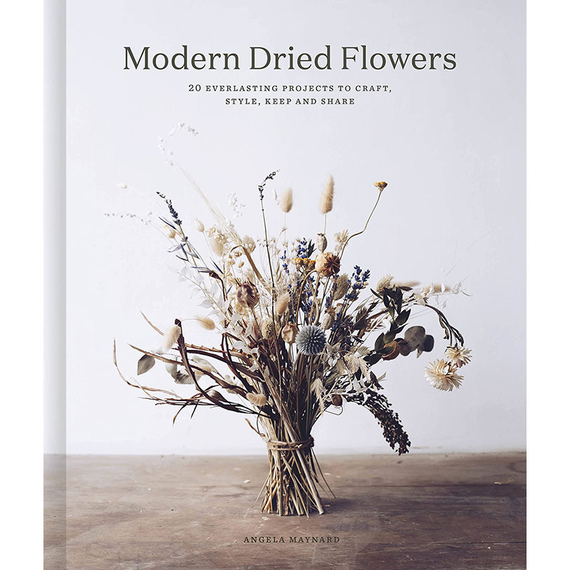 【现货】【翰德原版】Modern Dried Flowers现代干花插花指南英文原版图书进口正版 Angela Maynard生活综合-封面