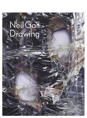 【预售】尼尔·加尔：绘画 Neil Gall: Drawing 英文进口原版艺术画册画集Lexi Lee Sullivan外文图书