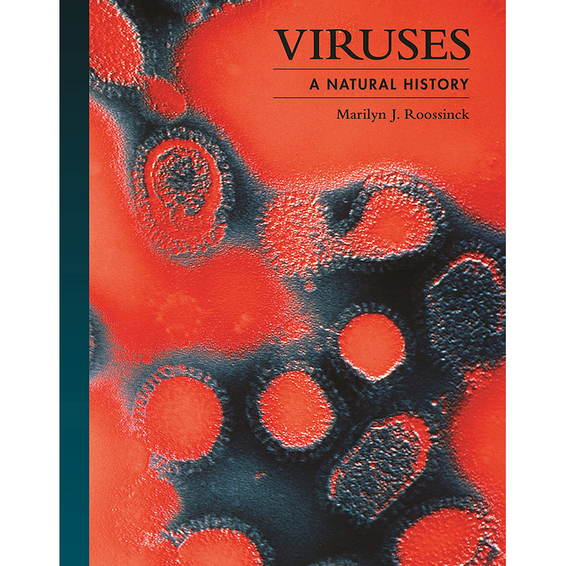 【预售】Viruses: A Natural History,病毒：自然史 英文原版图书籍进口正版 Marilyn J. Roossinck 社会科学