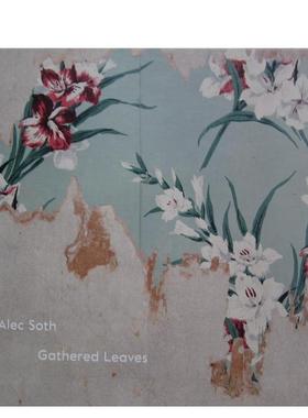 【现货】收集叶子 Gathered Leaves 英文进口原版摄影图书Alec Soth