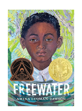 【现货】自由水Freewater (Newbery & Coretta Scott King Award Winner)英文进口原版儿童故事图书Amina Luqman-Dawson3-6岁