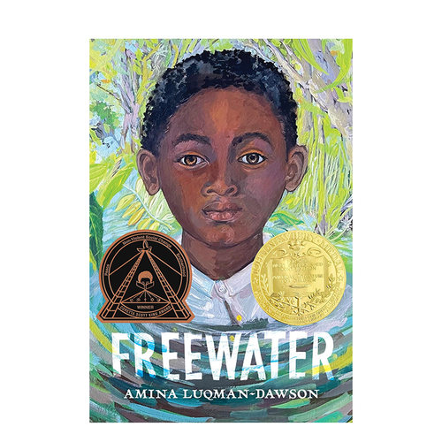 【预售】自由水Freewater (Newbery & Coretta Scott King Award Winner)英文进口原版儿童故事图书Amina Luqman-Dawson3-6岁