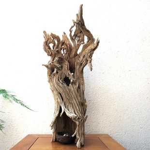 精选千年胡杨风化老木原木整体随形根艺摆件自然禅意创意搭配收藏