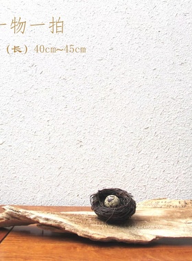 天然鸟窝千年胡杨风化枯木整体随形摆件家居客厅玄关书房自然创意