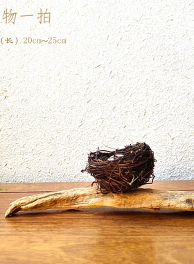 千年胡杨风化老木摆件自然禅意景观创意文玩珠宝首饰搭配拍照底座