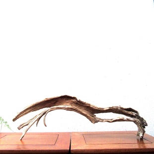 精选沙漠千年胡杨风化木随形根艺摆件自然原生态园林景观装饰创意