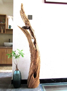 千年胡杨风化老木原木随形根艺摆件自然禅意艺术创意家居收藏饰品