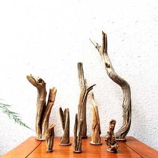 沙漠天然千年胡杨风化木整体随形家居办公室文玩搭配收藏创意摆件