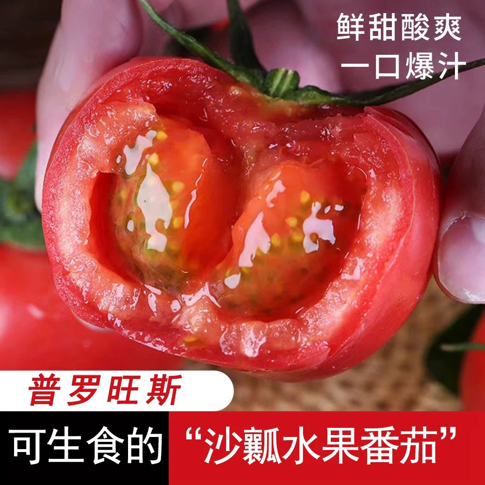 普罗旺斯水果西红柿沙瓢新鲜现摘农家孕妇生吃水果蔬菜当季生吃