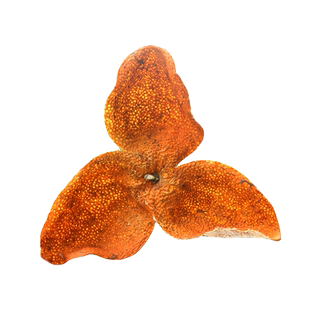 2025年新会陈皮大红皮正宗特产茶枝柑鲜果干大红皮清香味十足