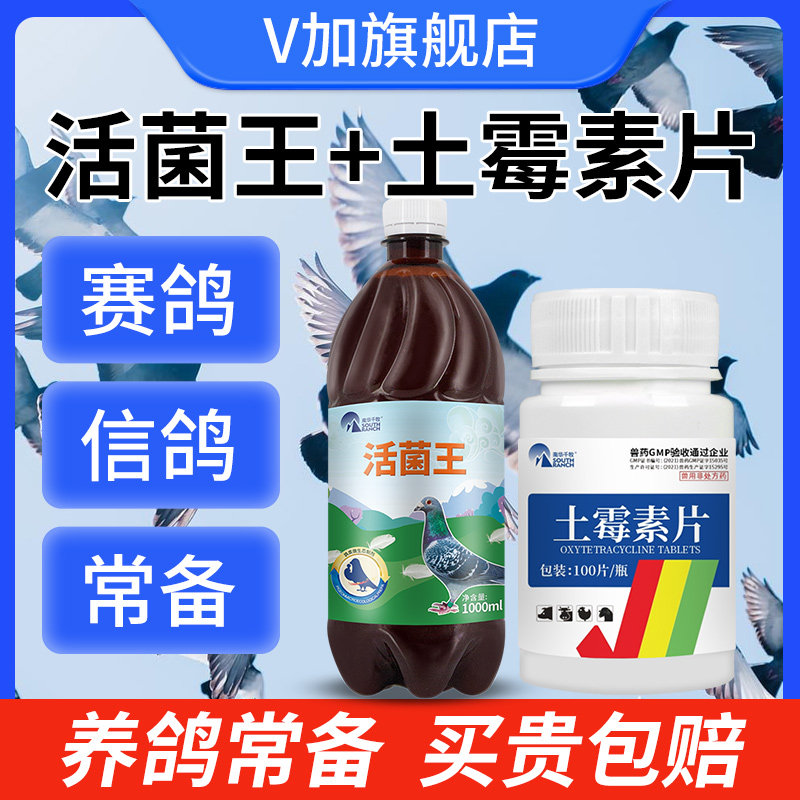 活菌王鸽用信鸽肉鸽赛鸽幼鸽拉稀水便绿便调理肠道鸽用保健非鸽药