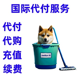 缴费 Janitor AI Pro 付缴费款 JanitorAI Pro 续费注册充值