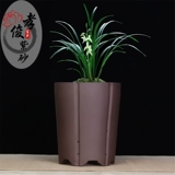 Самостоятельный бутик -бутик -бутик -фиолетовый песчаный горшок с крупным калибром орхидеи мясной горшок с цветочным горшками, джентльменская орхидея керамическая кастрюль