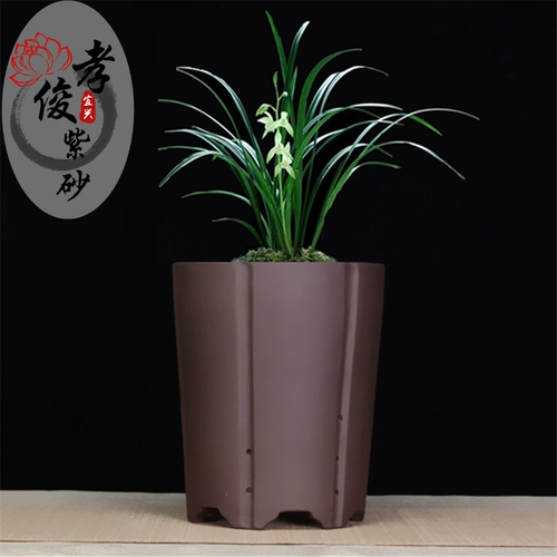 Самостоятельный бутик -бутик -бутик -фиолетовый песчаный горшок с крупным калибром орхидеи мясной горшок с цветочным горшками, джентльменская орхидея керамическая кастрюль