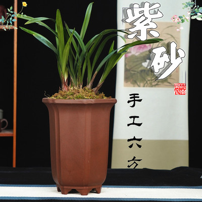 宜兴紫砂花盆直销六方特大兰花盆专用陶瓷盆景多肉君子兰简约特价