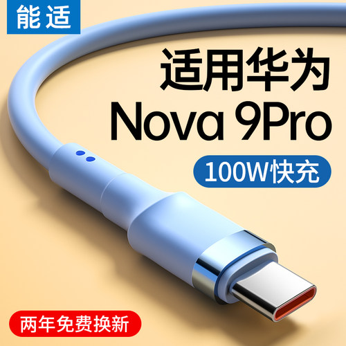 能适100wtypec快充数据线