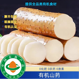 有机脆山药有机山药3斤有机白玉山药口感好有有机码顺丰包邮
