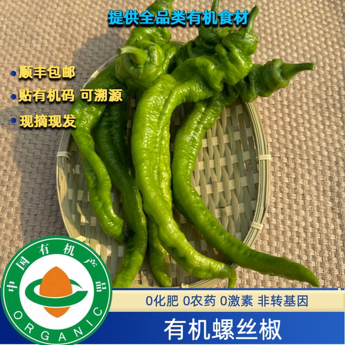 3斤有机螺丝椒有机认证不打药无农残口感好顺丰