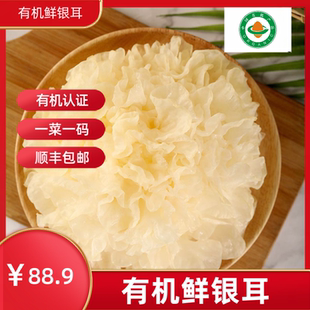 沈佳农有机鲜银耳600g，每朵100g左右，可炖汤可做甜品有机认证