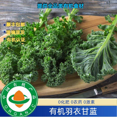 南京国环有机认证有机羽衣甘蓝顺丰现摘现发，无农残安心绿色蔬菜