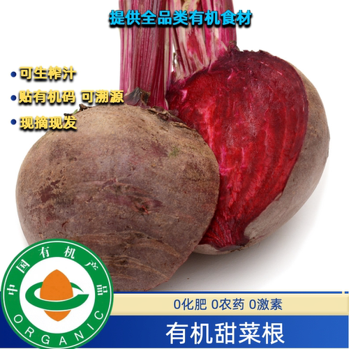 有机认证有机甜菜根3斤有有机码新鲜有机甜菜头可生榨汁