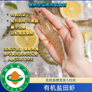 有机认证有机盐田虾有机虾仁有机熟虾有机金钩海米有机烤虾好吃