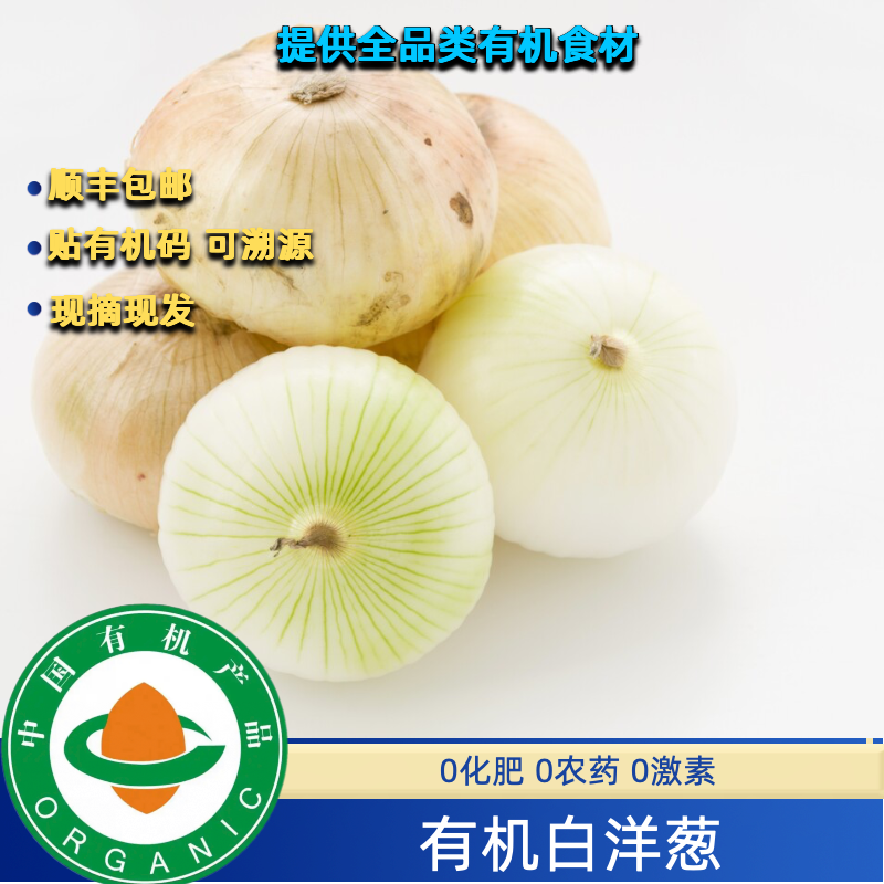 有机白洋葱有机种植有机认证顺丰无农残有机白洋葱黄洋葱有机洋葱