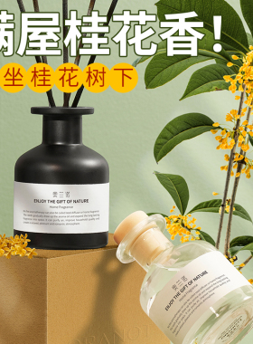 香薰室内家用持久留香氛空气清新剂卧室房间香水厕所卫生间除臭01