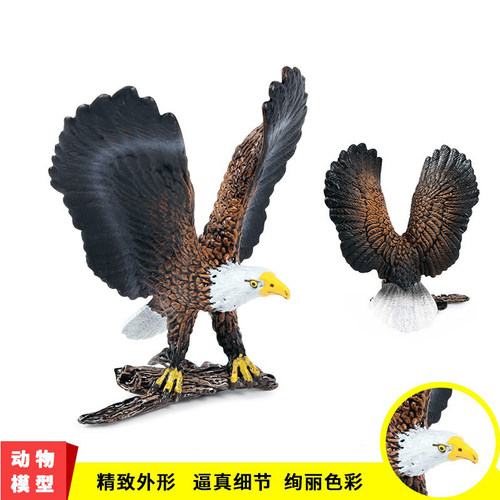 儿童实心仿真鸟类老鹰展翅白头海雕模型摆件野生实心动物世界玩具