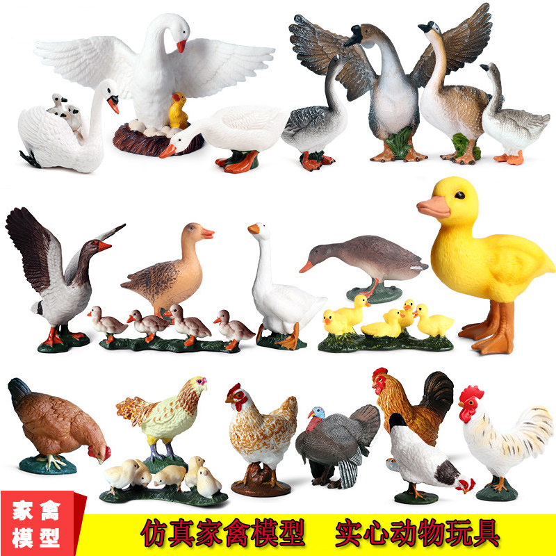 儿童牧场家禽玩具仿真动物模型鸡鸭鹅孵蛋白天鹅展翅狮头鹅大黄鸭图片