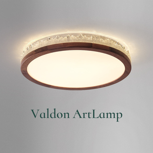 华之灯 黑胡桃木卧室灯 新中式高级感房间主卧阳台书房led吸顶灯