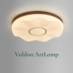 卧室吸顶灯现代简约胡桃木新款 圆形房间主卧书房饭厅温馨儿童房灯