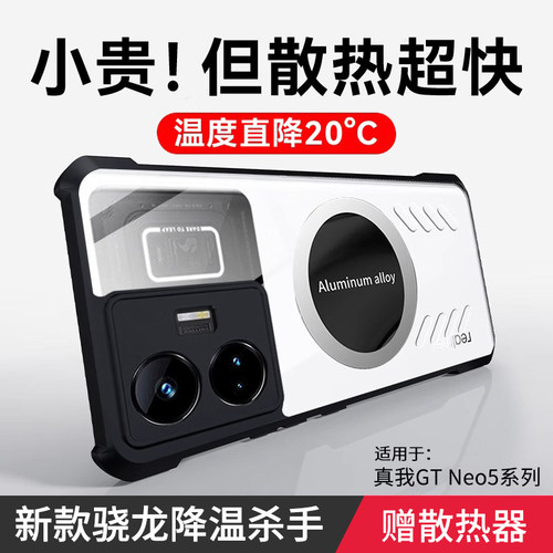 龙殿适用realm真我GTNo5手