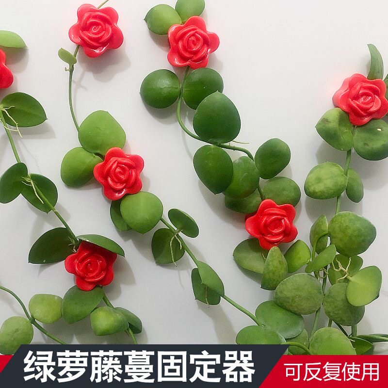 玫瑰款绿萝固定器无痕固定夹子