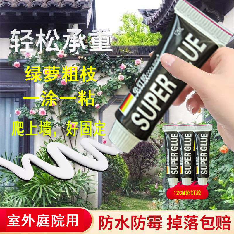 爬墙固定器室外月季绿萝强胶水户外承重粘合绿萝爬墙固定夹不伤墙