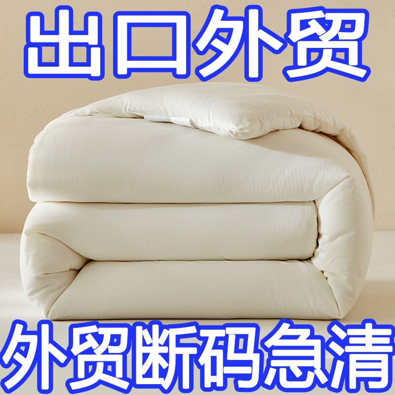 外贸桑蚕丝被纯棉加厚保暖冬被