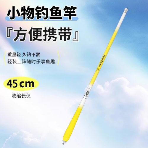 儿童鱼竿套装小物钓鱼竿溪流竿新手全套钓小鱼白条鳑鲏微物小手竿