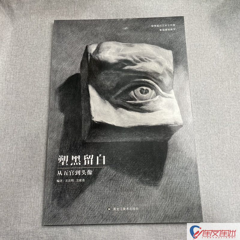 塑黑留白 从五官到头像 素描基础教学