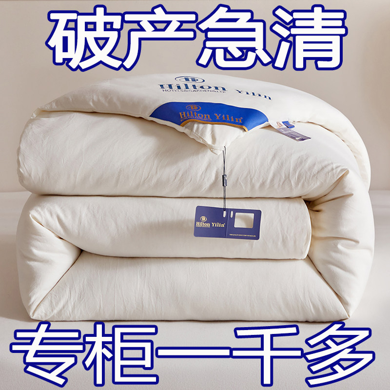 出口外贸桑蚕丝被纯棉夏凉被全棉空调被春秋被加厚冬被棉被子被芯,床上用品,蚕丝被,淘宝优惠券,粉丝福利购,淘宝优惠卷