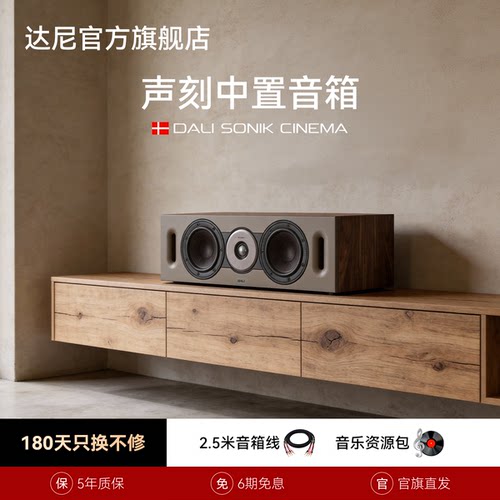 达尼声刻木质HIFI中置音箱