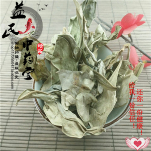 中药材龙俐叶 龙利叶 龙舌叶 龙味叶 龙脷叶500克 牛耳叶100克克