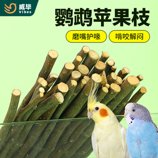 威毕鹦鹉苹果枝果木宠物磨牙棒啃咬解闷玩具虎皮玄凤牡丹专用磨嘴