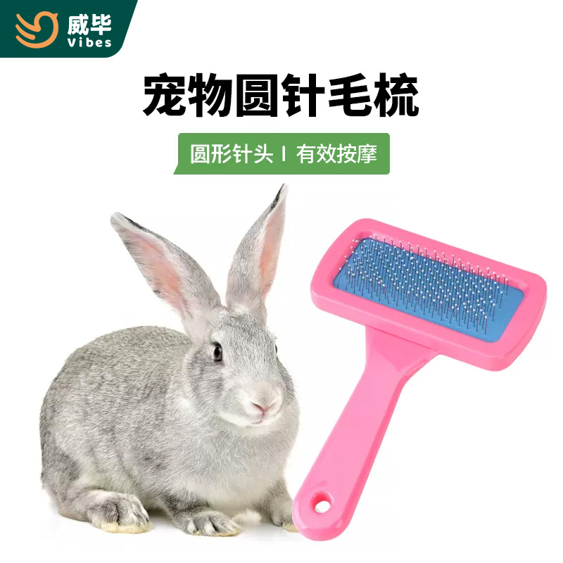 兔子荷兰猪梳毛器宠物洗澡沐浴