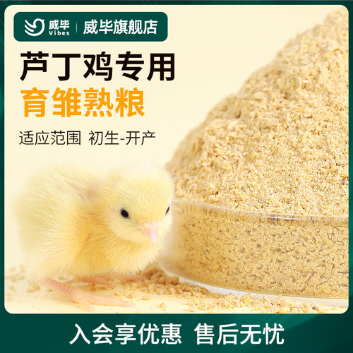 蛋白质超高芦丁鸡雏鸡幼鸡开口