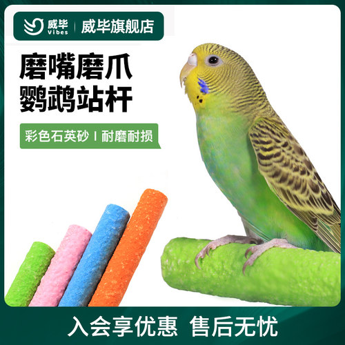 玄凤虎皮鹦鹉站杆磨牙磨砂