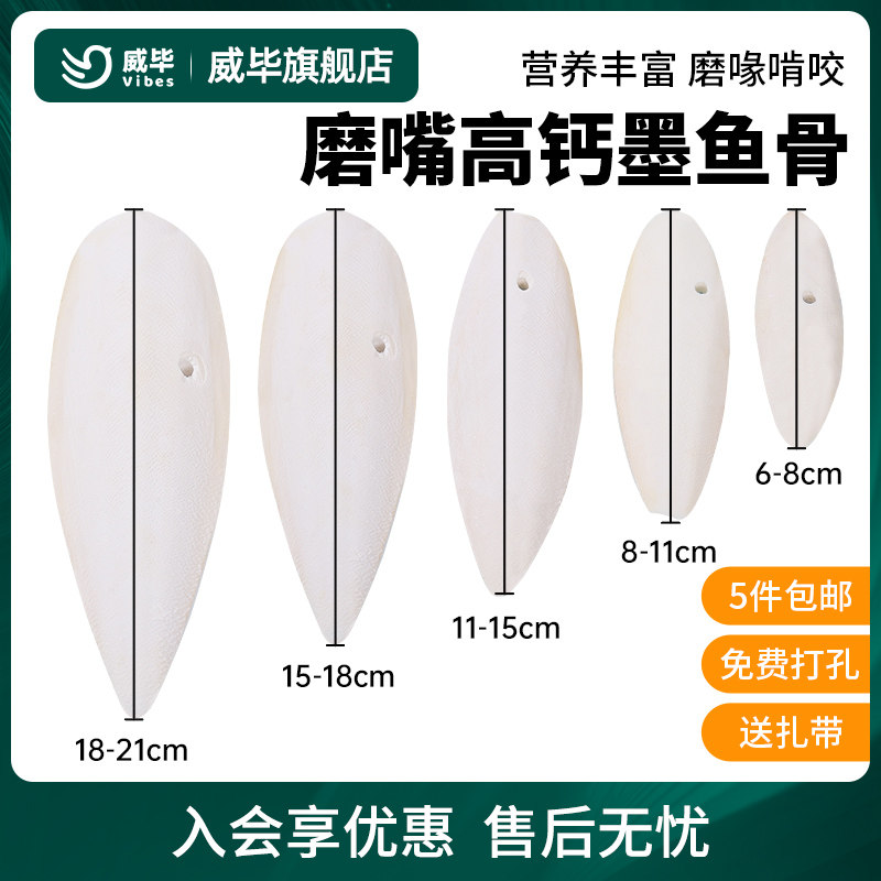 磨牙补钙用品用具5件包邮墨鱼骨图片